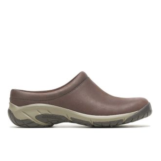 Damen Encore Nova 4